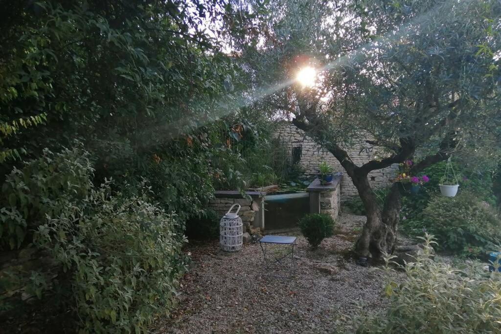 La Jolie Parenthese Διαμέρισμα Saint-Sauveur-d'Aunis Εξωτερικό φωτογραφία
